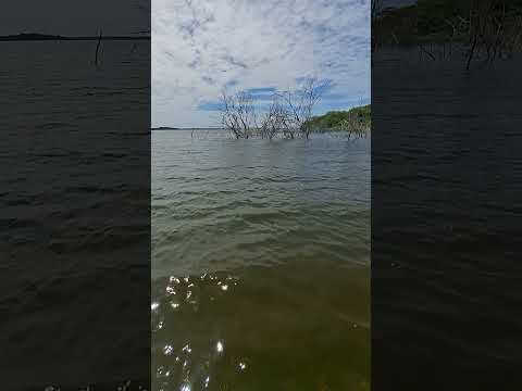 #aracoiaba #maciço  # #ceará #10mil #shortsvideos #viral #top #natureza #mil #m #k #nordeste #mundo