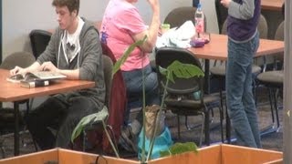 Download lagu Sex Noises In A Library Prank mp3