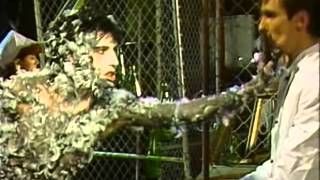 Cover art for Collapsing new people