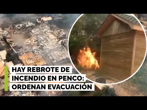 Ordenan evacuación de sectores de Penco tras rebrote de incendio cerca de zonas pobladas