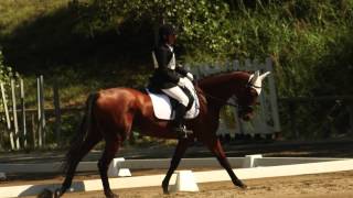 Andrea Bocelli - Ama Credi E Vai (Because We Believe)