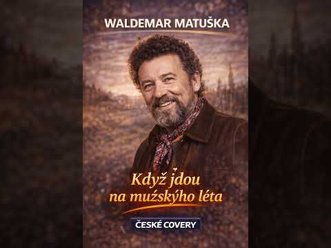 Když jdou na mužskýho léta ???? Waldemar Matuška | Rock Cover | ČESKÉ COVERY