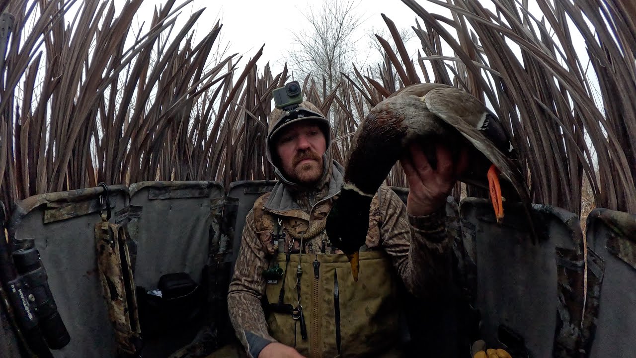 Washington state : Solo duck hunt with my dog Kona