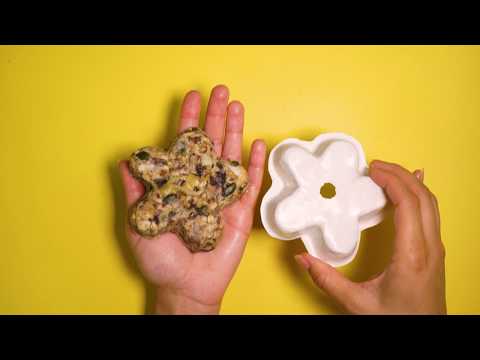How to Design & Make a Bird Feeder with Mayku FormBox - Mayku Teach (STEM Teaching Resource)