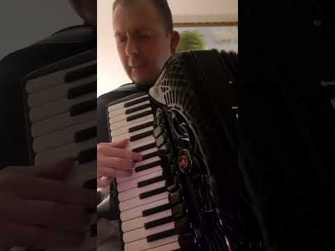 Misko Tofilovic - Jutros mi je ruza procvetala -