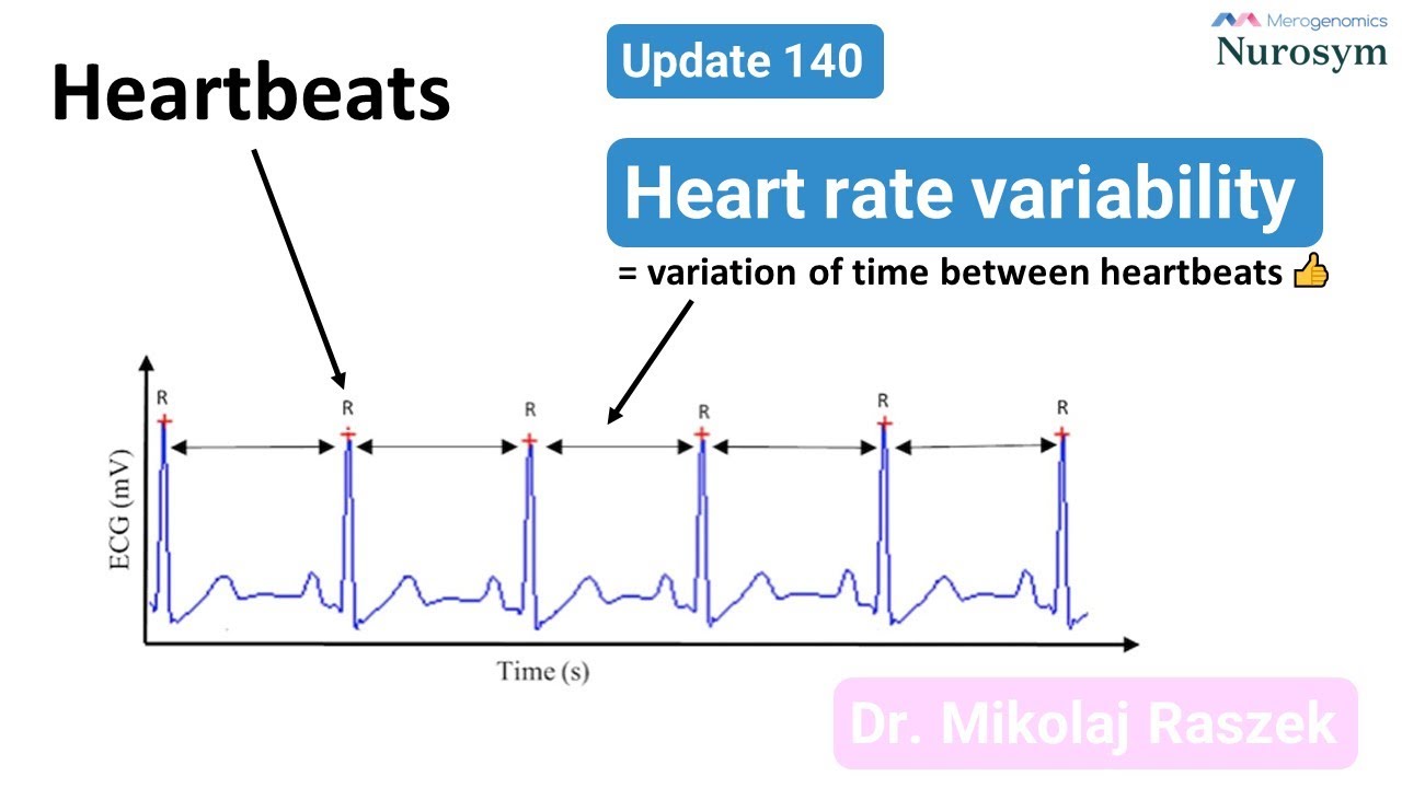 Enhancing Vagus Nerve Fitness - A Guide to Understanding Heart Rate Variability