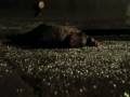 Kill Switch Steven Seagal Kicks Guy Out Window