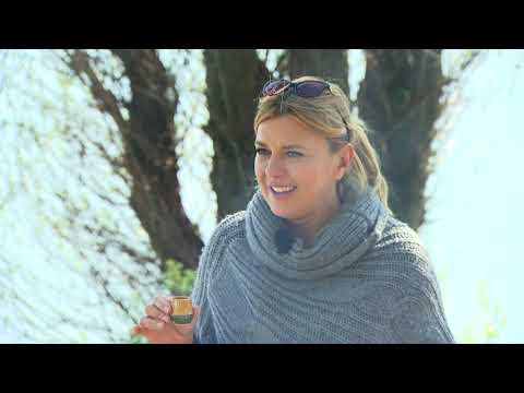 Gasztroangyal 33. rész – Bölcske (2015)