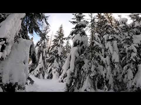 Special winter in MALGA CIAPELA near passo fedaia 🥶❄️
