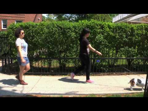 Broad City Ep9 - Dog Sitting