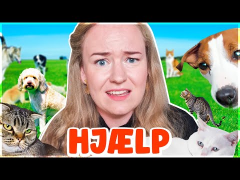 FYLDER INTERNATET OP MED SYGE DYR I ANIMAL SHELTER SIMULATOR!