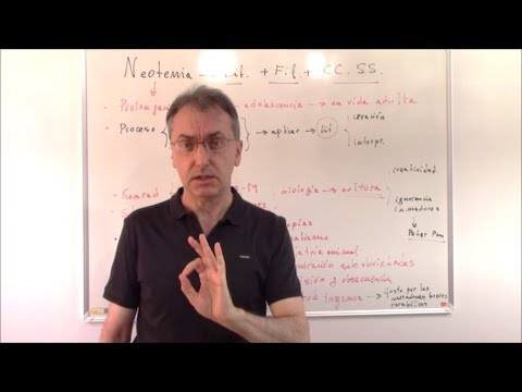 Infantilism and neoteny in literature, philosophy and social sciences: the case of Byung-Chul Han