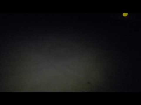 Perhaps alien primates had visited Borrego...