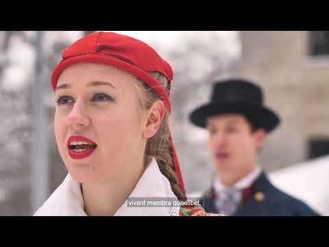 Tallinna Tehnikaülikooli kultuurikollektiivid - Gaudeamus