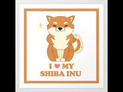 Вчерашнее видео лучше было бы назвать   БЕСПЛАТНЫЕ  My Shiba Inu