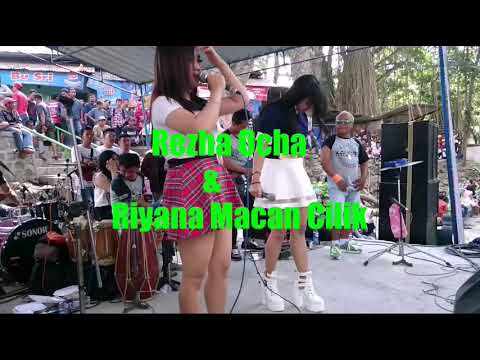Menunggu kamu // Riyana macan cilik feat Rezha Ocha // Kalimba Music