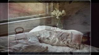 Canción última - Joan Manuel Serrat