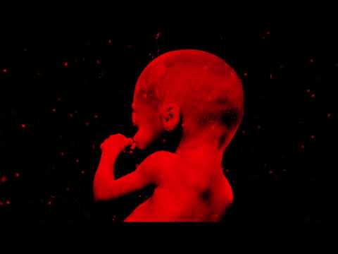 Vitor Araújo - Toque n.1 [Official Music Video]