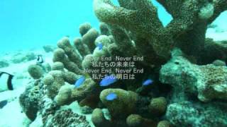 【歌の部屋】101 安室奈美恵 NEVER END