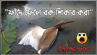 Download lagu Buck easy trap  catching birds  Effective and fast traps in the new creative technology! mp3