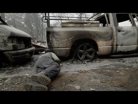 THE FIRE CATS —Save Something Small TRAILER