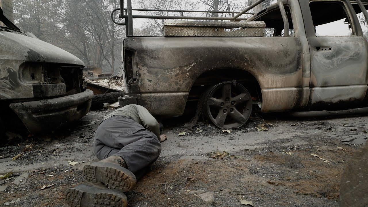 THE FIRE CATS —Save Something Small TRAILER