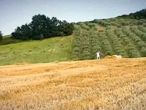 Cena con Gianni Drudi