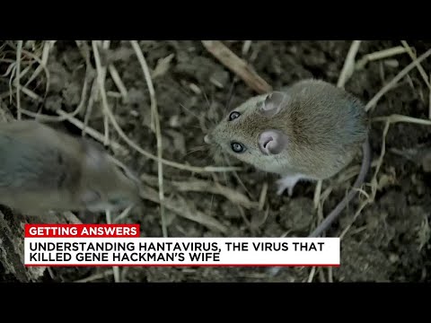 Getting Answers: hantavirus symptoms, causes