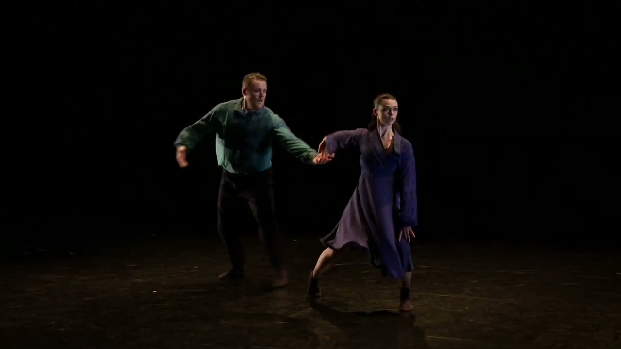 Magnetoreception — dance duet still