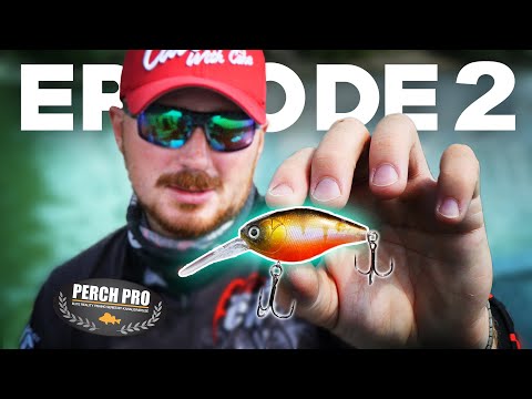 PERCH PRO 6 - Episode 2 (Deutsche Untertitel)