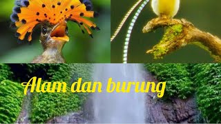Download lagu Piano dan suara alam dan kicau burung||keindahan alam mp3