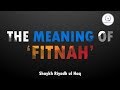 The Meaning of 'Fitnah' - Shaykh Riyadh ul Haq