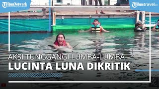 Aksi Lucinta Luna Tunggangi Lumba-Lumba di Bali Dikritik Susi Pudjiastuti hingga Aktivis