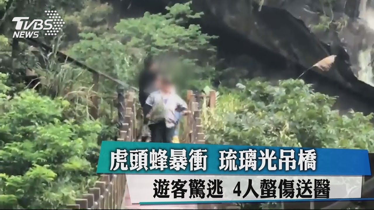 虎頭蜂暴衝 琉璃光吊橋遊客驚逃、4人螫傷送醫