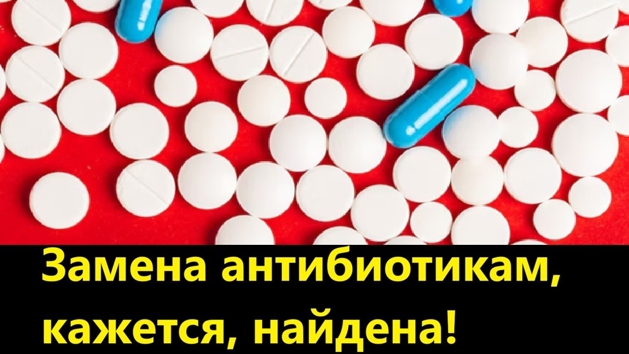 Замена антибиотикам, кажется, найдена!