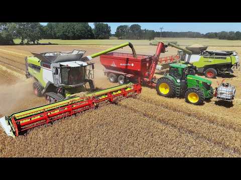 Getreideernte 2025 - CLAAS LEXION Mähdrescher & Traktoren Großeinsatz - Landwirtschaft & Feuerwehr