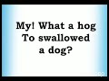 There Was An Old Lady Classic Nursery Rhymes Karaoke Lower Key