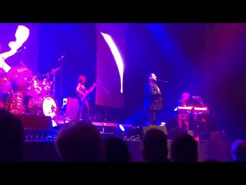 Alphaville forever young verti music hall