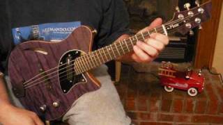 Mann EM-5 Hollow Body Electric Mandolin