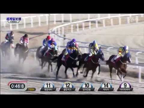 2012 Segye Ilbo Cup - Wonderday