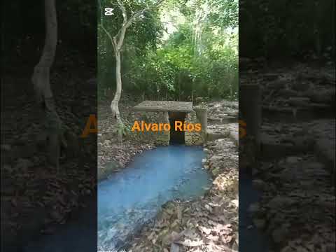 manantial natural el poso la venta"ubicado en el municipio dé toluviejo sucre,montes dé María,