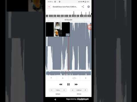 audiostreet corruption glitch Donald ducc 2023 2024 2025