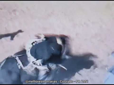 🇧🇷 Milton Célio Rosa - Miltinho - Rodeio de Colorado 1991 #rodeio #rodeo