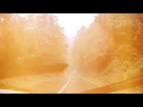 Transalpina: Sugag - Lacul Oasa