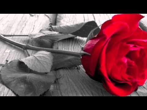 RIDE ON BABY- LAROZ EDIT