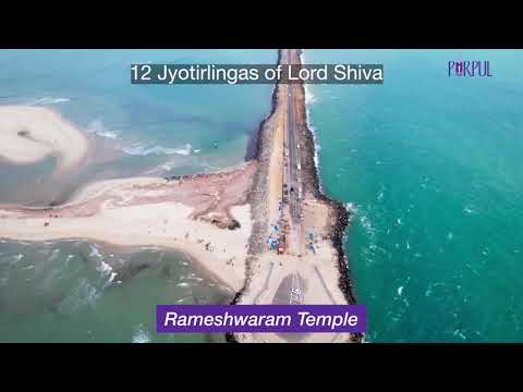 Shiva consciousness I Purpul Videos