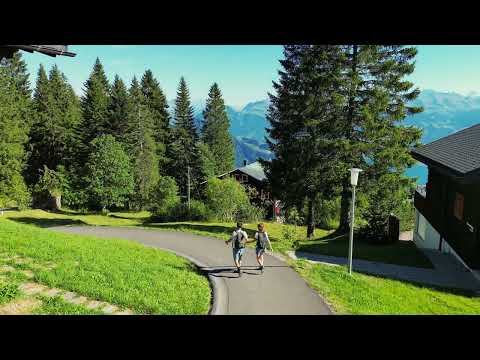 Hiking Mount Rigi with Aerial Views of the Alps and Lake Lucerne