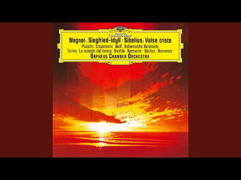 Puccini: Crisantemi, SC 65 (Version for String Orchestra)