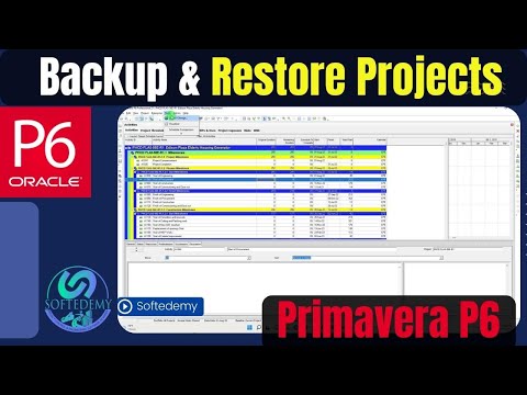 How to Show Calendar Days in Primavera P6 Show Calendar days not working days Simple Tips