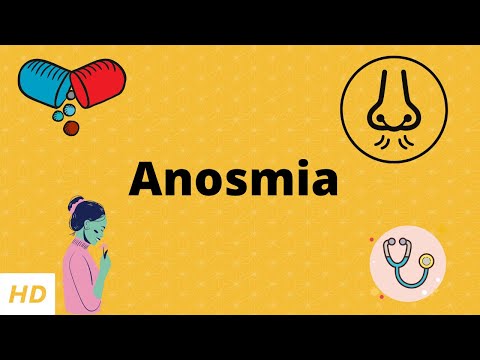 Anosmia, Causes, Signs and Symptoms, Diagnosis and Treatment.